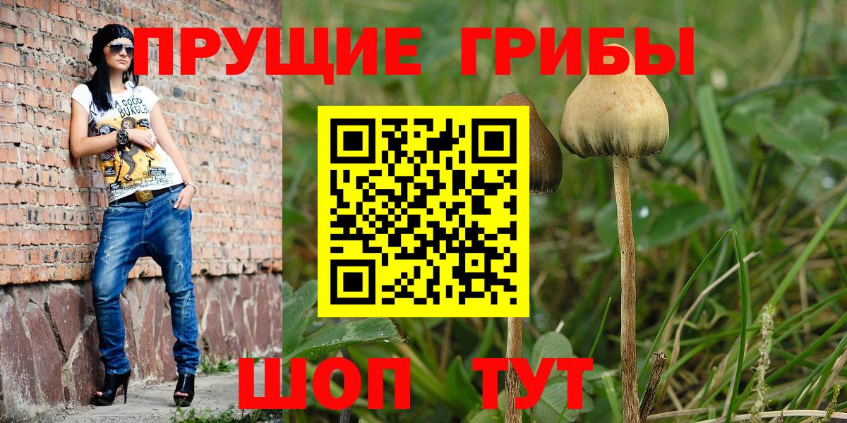 Псилоцибиновые грибы MAGIC MUSHROOMS Сердобск